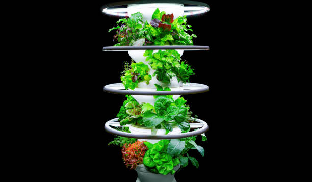 ALTO Garden